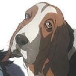 Avatar du membre